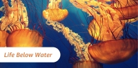 Melani - Life below water